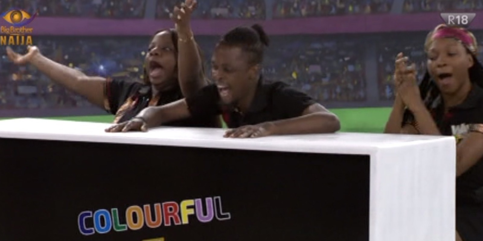 BBNaija Team Colourful WAW Task