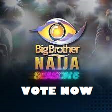 BBNAija Vote Poll 2021