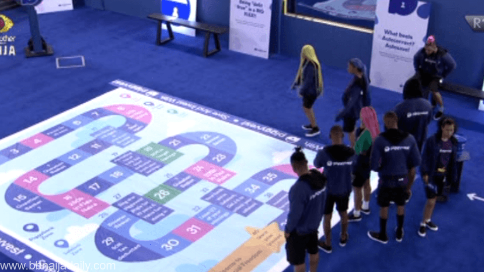 BBNaija 2021 PiggyVest Friday Task 2