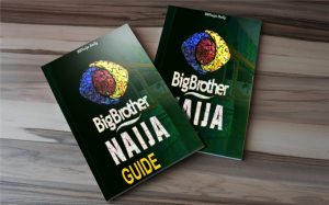 BBNaija Ebook Cover