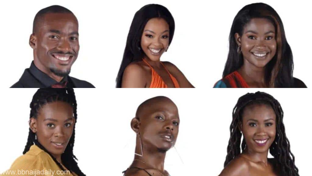 Poll – Big Brother Mzansi 2022 Week 6 Nomination, Vote Result And ...