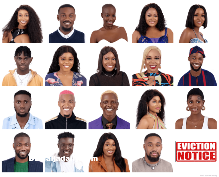 BBNaija 2022 Week 6 Nomination Result and Vote Poll Amaka Evicted