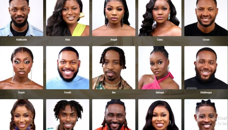 Big Brother Naija (BBNaija) 2024 Application, Housemates Biography ...