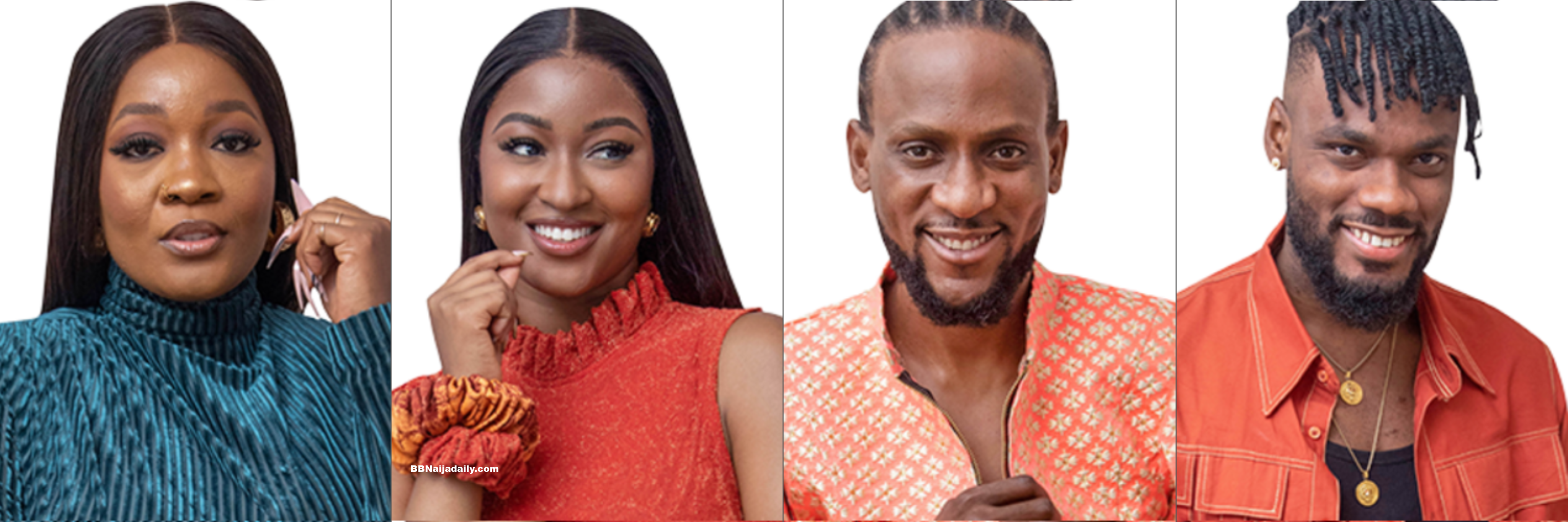 BBNaija Fake Housemates