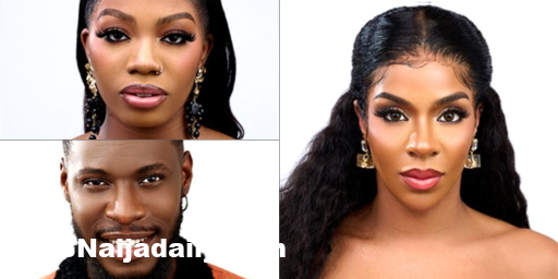 BBNaija Week 9 Evicted Housemates
