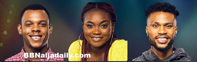 Top 3 Nigerian Idol 2024