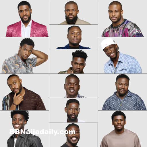 BBNaija 2025 Male Hosemates