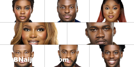 BBNaija Final Vote Poll